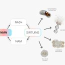 좋은가정의원 이미지