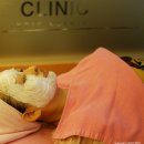 오목교역 1번출구(출구옆, 리앤장의원앞) | 목동피부과 아바끄의원 스킨보톡스후기