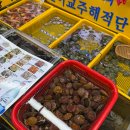 막퍼주는회포장집 | 자갈치시장 회센터 백호상회 부산 자갈치시장 횟집 회포장