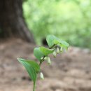 병화 농장 이미지