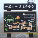 미르피아오토캠핑장 이미지