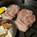 시간돼지 티스토리