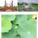 봉담호수공원 이미지