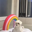 위클라드 자쿠지 펜션 이미지