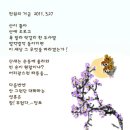 거금 Daum카페