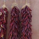 (주) 지닌 이미지