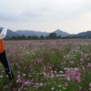 구룡천2 이미지