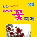 2013 신안 애기동백꽃축제(2013-12-13(Fri) ~ 2014-01-12(Sun) 이미지