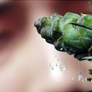 주식회사 스텝스인 이미지