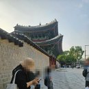 창경궁 달빛도슨트 후기｜초등 궁궐도슨트 입문은 경복궁보단 창경궁부터!