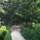 대덕사이언스길(제1코스) 이미지