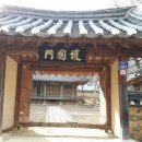 산남의진 정대장 양 티스토리