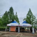 일산]고양시민이 다녀온 밖에서 보는 꽃박람회 구경 거리 볼거리 후기(입장권 없이 즐기는 꽃박람회)