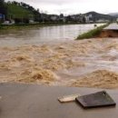 안성 월동천 이미지