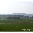 신양농장 이미지