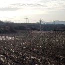 욱은농장 이미지