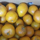 성산농장3 이미지