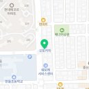 전주강아지분양 미니퍼피 가정견사 직영 이미지