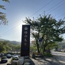강원도 강릉 국내료칸 5성급 리조트 숙소 유메모리 슈퍼 디럭스 패키지 (조식+석식) 양자리숙소 후기