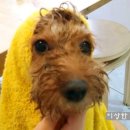 다미민박 이미지