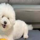 따숩개하우스 이미지