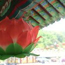 보명사