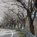 죽곡 태안교 이미지