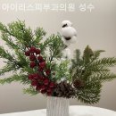 아이리스피부과의원 이미지