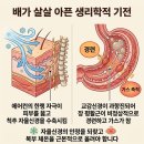 가스콜