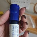 바움스터디 | 헬스바움 포커스타임 스터디 파트너, 집중력 향상 도움되는 !! 시험기간 필수템 !!