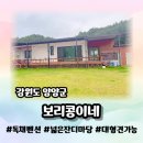 콩이네 | 넓은 잔디마당 양양애견독채펜션 보리콩이네에서 힐링