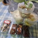 5월 부천 디저트맛집 결산: (미미담,디저트모먼트)