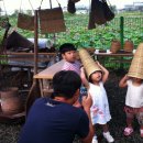 봉정연꽃마을 이미지