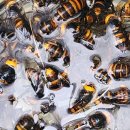 튀김장수 이미지