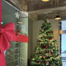 먹방나인 카페 앞 | 남양주 리버나인 애견동반가능 대형카페 내돈내산 후기