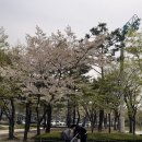 상동호수공원 | [부천 아이랑 가볼만한 곳] 역대급 대형 놀이터🌿! 상동호수공원 리얼후기!