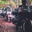 시즌투어