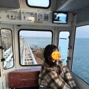 달맞이길62번길 13 | [국내여행] 🚃 해요모녀의 부산여행 1일차 (4) | 해운대블루라인파크 스카이캡슐