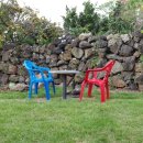 제주마농 이미지