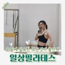 [삼송필라테스] 일상필라테스 삼송점 찐 체험 후기, 사우나와 온탕까지 완벽한 신원동필라테스 [☆5+n]