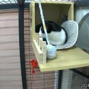 호텔이냥 이미지