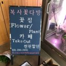 복사꽃다방 이미지