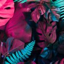 뜨레 향 이미지