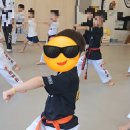 라이온 태권도장 이미지