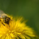 장형석한의원 이미지