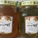 26년 햇꿀 순도높은 찐 아카시아꿀-산청댁님 이미지