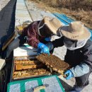 원벌농장 이미지