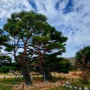 죽장초등학교상옥분교장 이미지