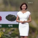 단오
