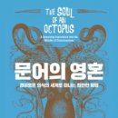 문어다리 여덟개